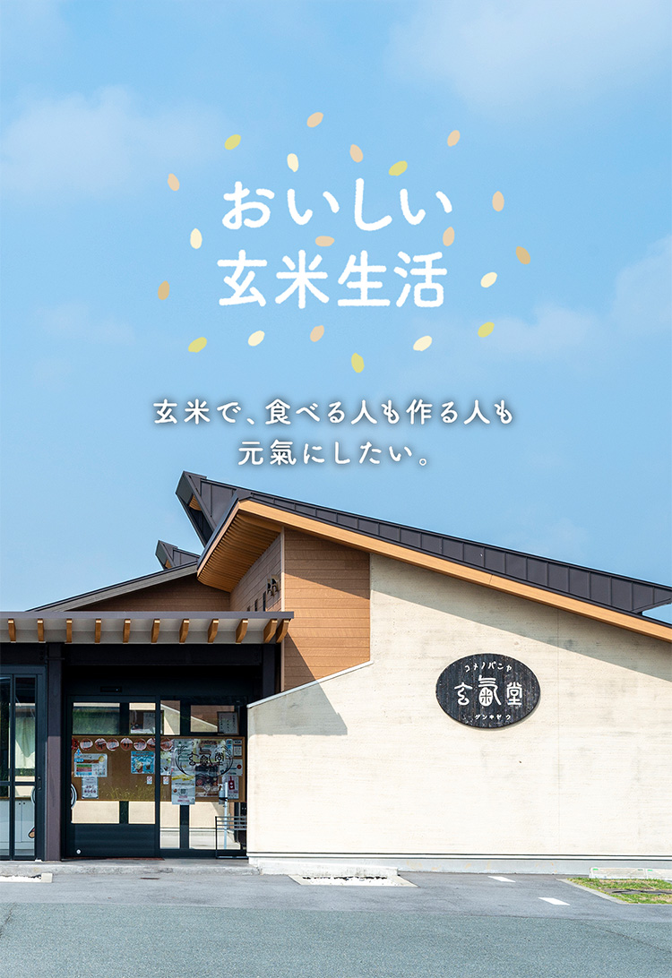 【中古】 すきとおった風を求めて 玄米医者のつぶやき/熊本日日新聞社/古川實人 熊本県産米を使った玄米パンのお店 コメノパンヤ玄氣堂（げんきどう）