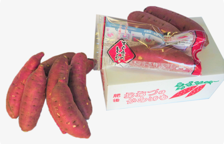 アグリ中九州商品 さつまいも(紅はるか)3kg レンジ調理袋付き