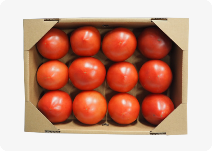 アグリ中九州で栽培した「プレミアムげんきトマト（りんか409）2ｋｇ」